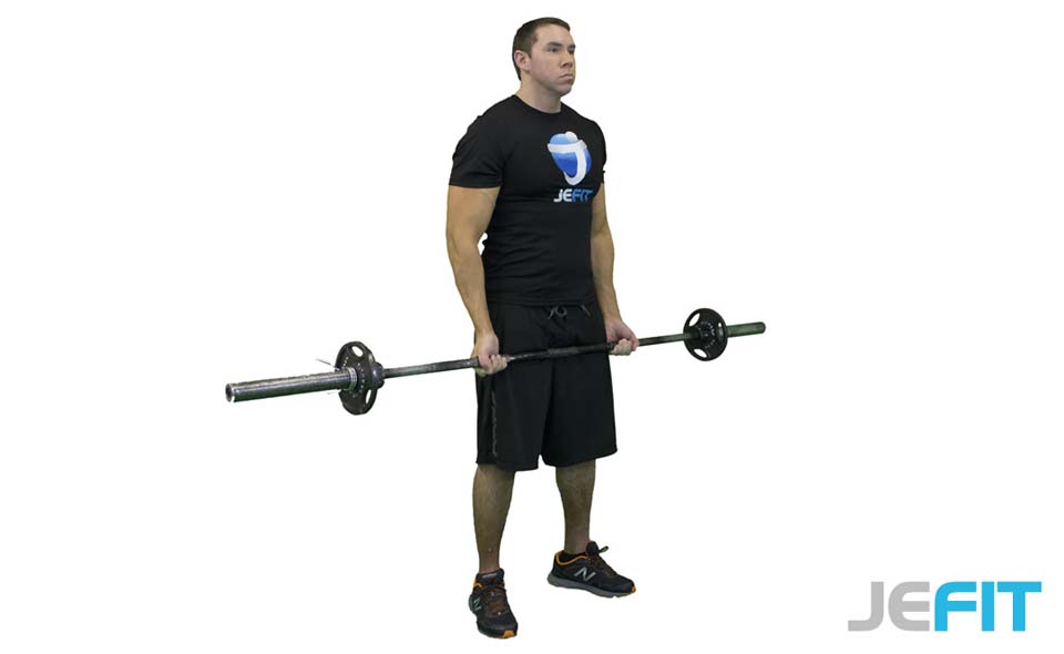 Barbell Curl exercise