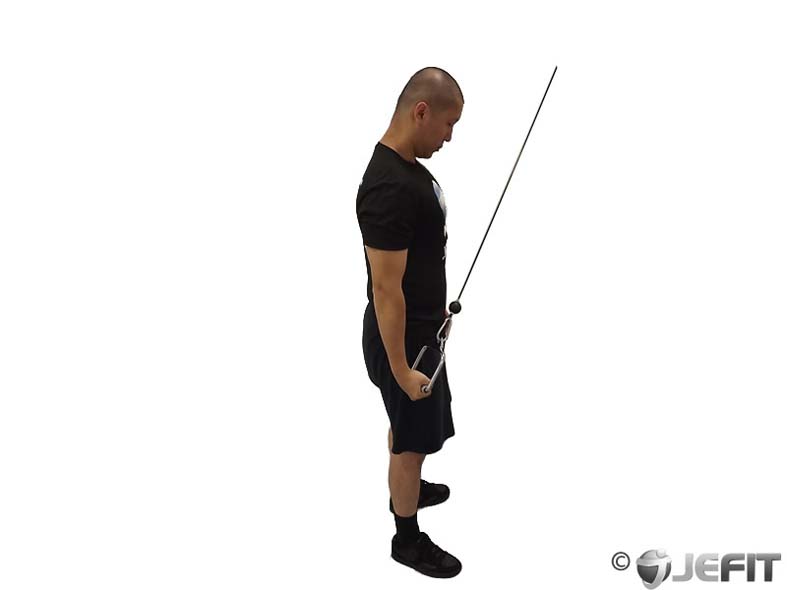 Cable One-Arm Tricep Extension (Reverse Grip)